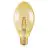Ledvance Vintage 1906 LED E27 Oro 4W 470lm - 824 Bianco Molto Caldo | Sostitutiva 40W