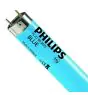 Philips MASTER TL-D 36W - Blu | 120cm